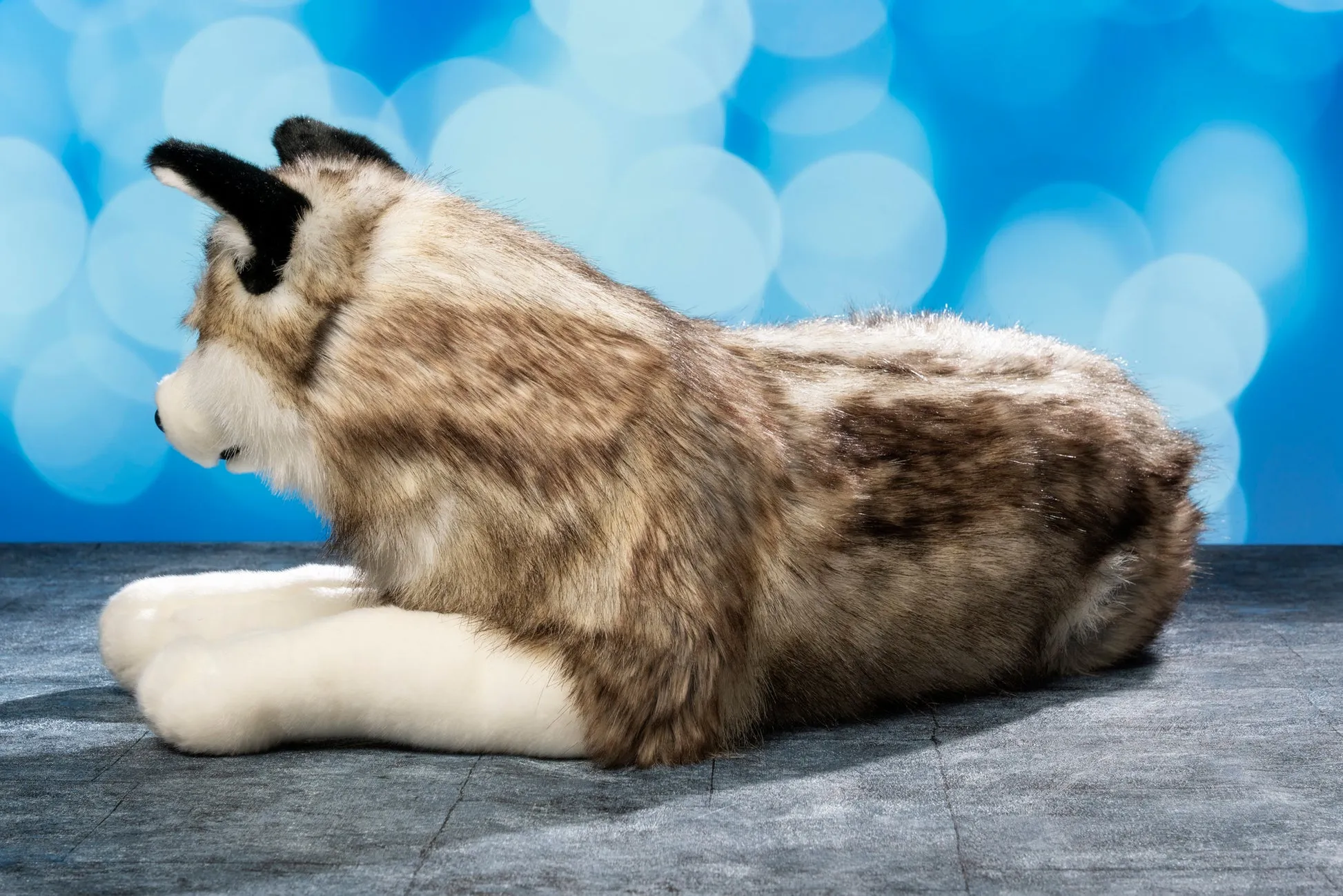 /img/52523-husky-diecast-display.webp